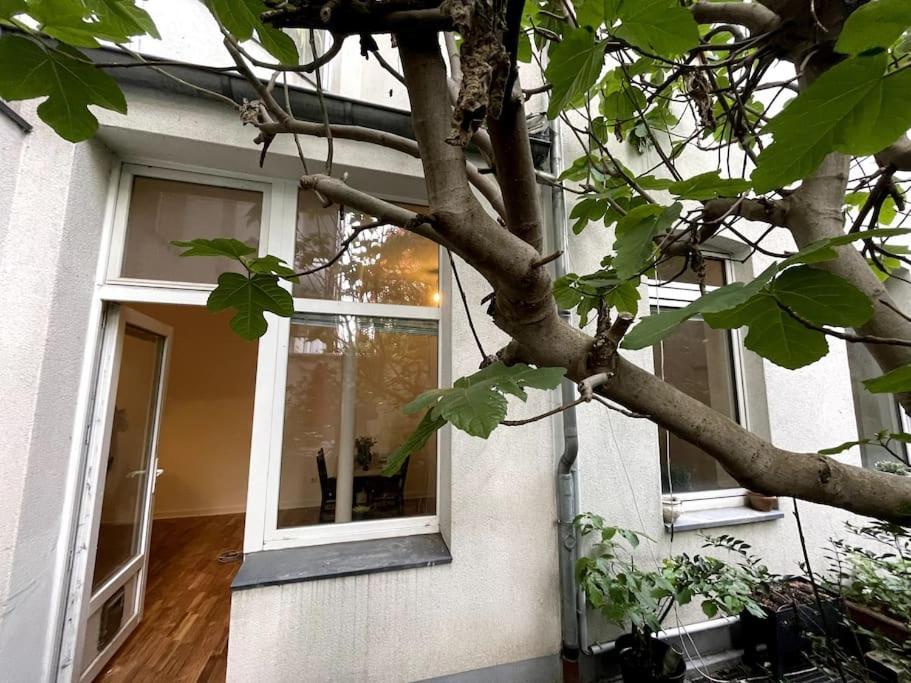 Cosy & Central Flat Near Duesseldorf Center Düsseldorf Exterior foto